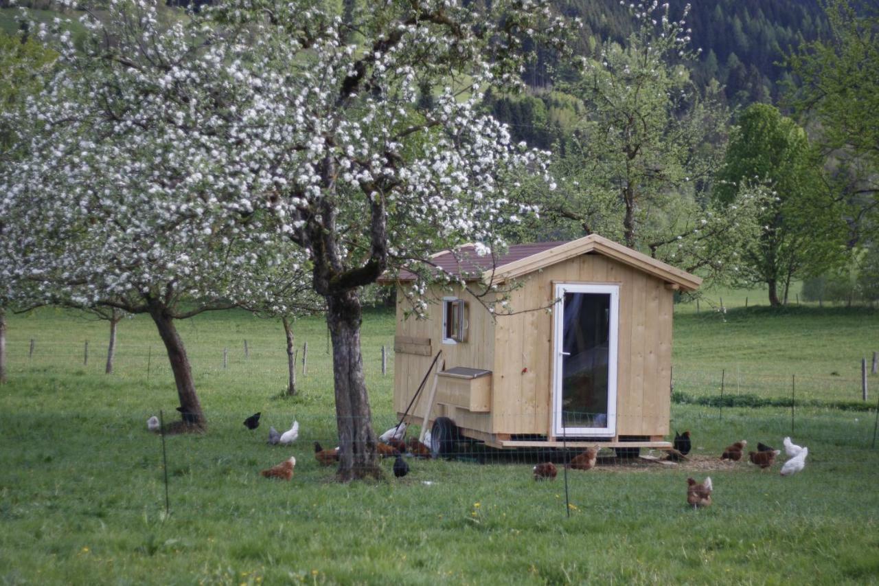 Apartament Biobauernhof Jagglhof Saalfelden Zewnętrze zdjęcie