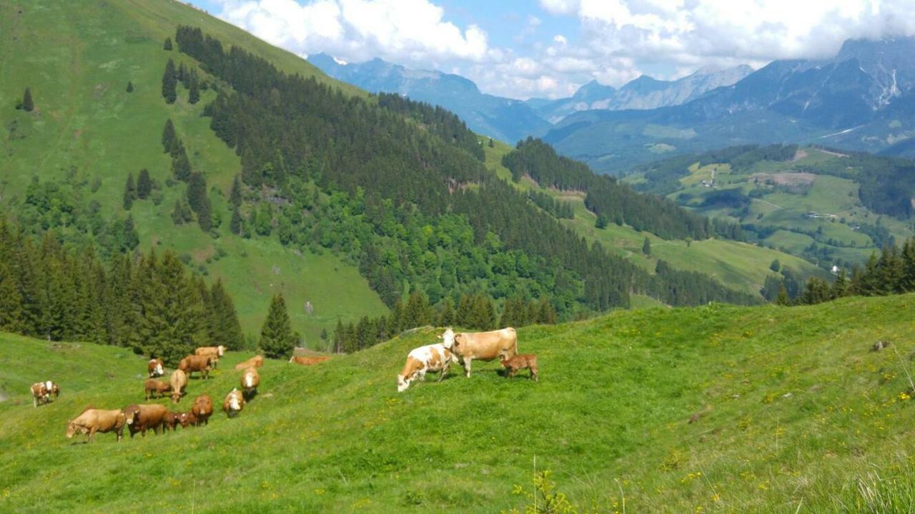 Apartament Biobauernhof Jagglhof Saalfelden Zewnętrze zdjęcie
